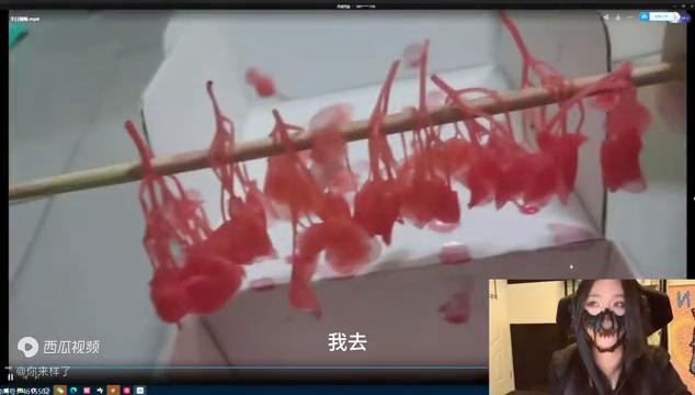 团团生日收粉丝礼物,团团生日送礼