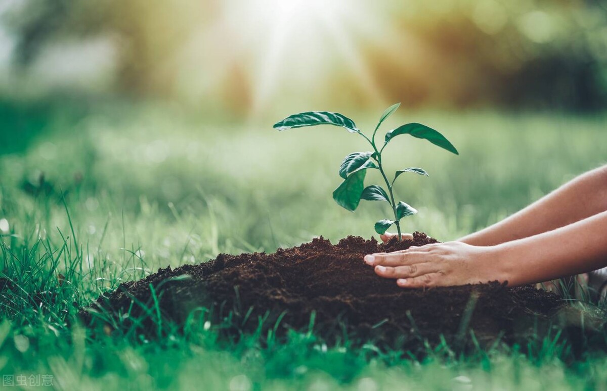 和父母如何解决代沟的矛盾,代沟会导致父母和孩子之间的误解