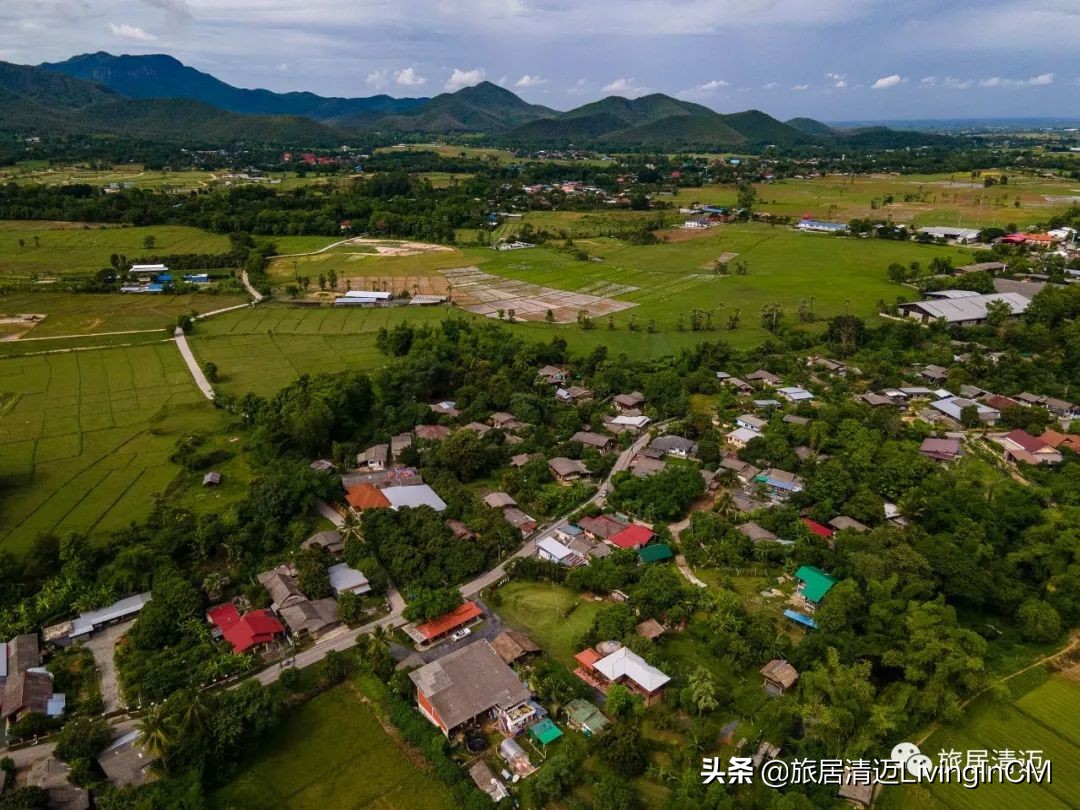 泰国清迈农场美食,清迈美食攻略必吃水果