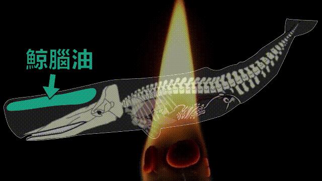 秦始皇陵考古历程资料,秦始皇陵兵马俑考古新发现