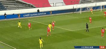 中国女足张琳艳进球,中国女足张琳艳哭泣宣誓为国争光