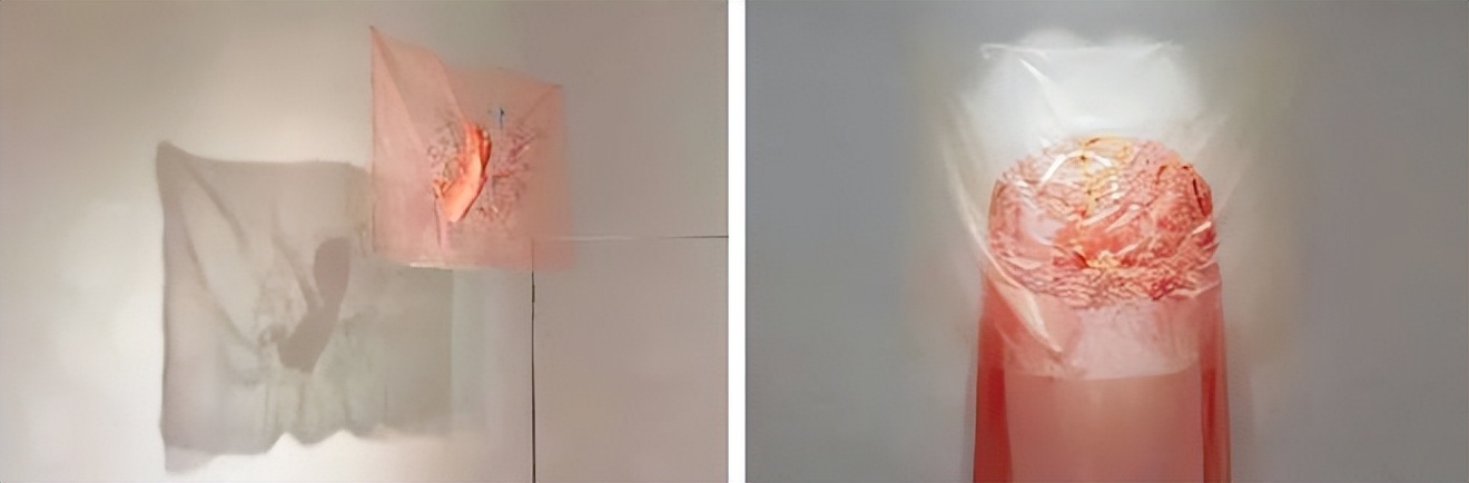 24岁女孩缝出巨型子宫，请人走进去，感受被母体包裹的温柔