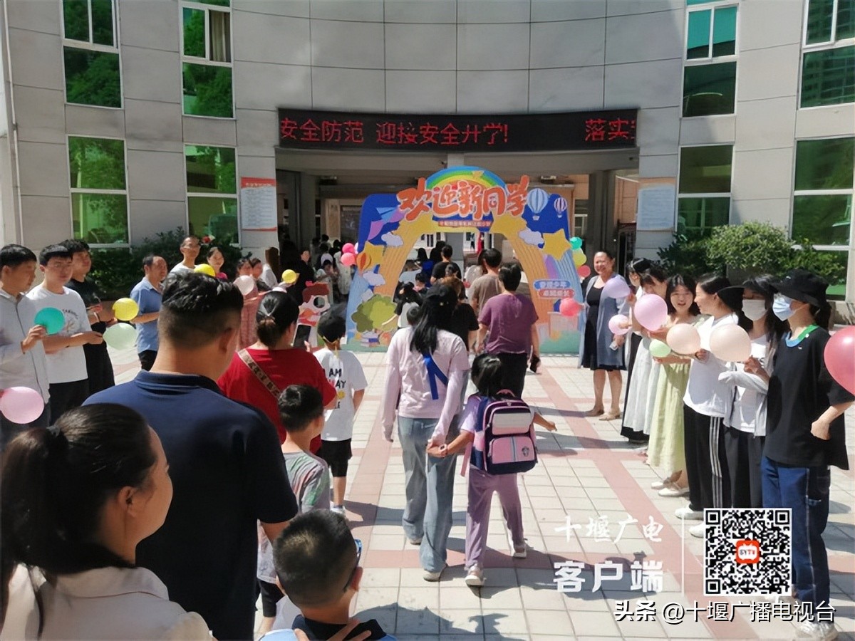 你好萌新是什么意思,你好萌新