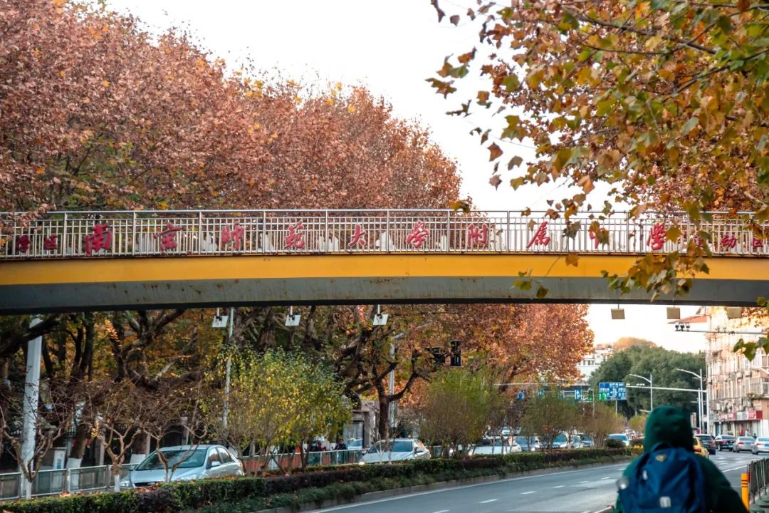 南京察哈尔路39号,南京察哈尔路历史