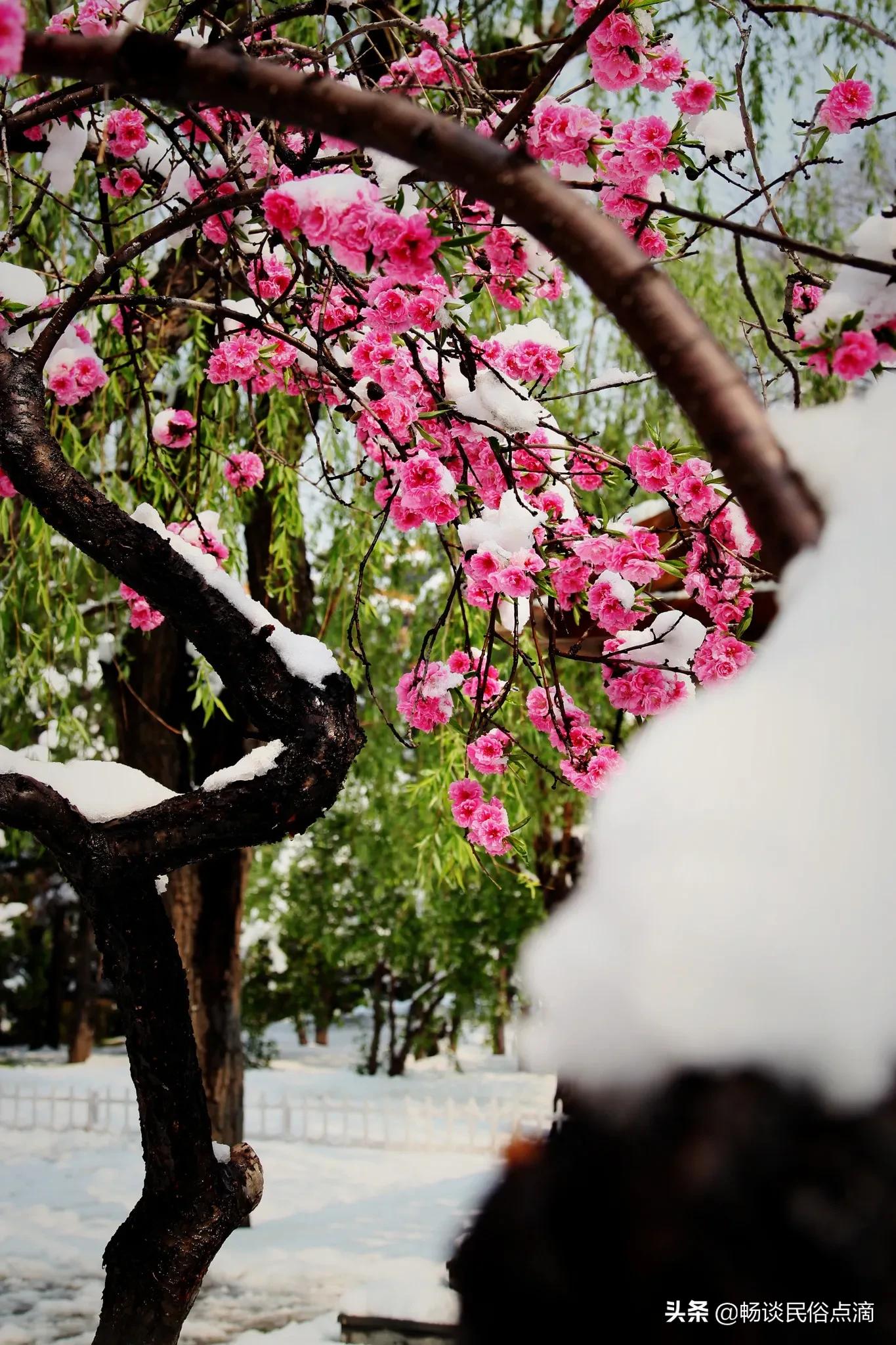 做天难做二月天民谣原文,做天难做二月天的理解