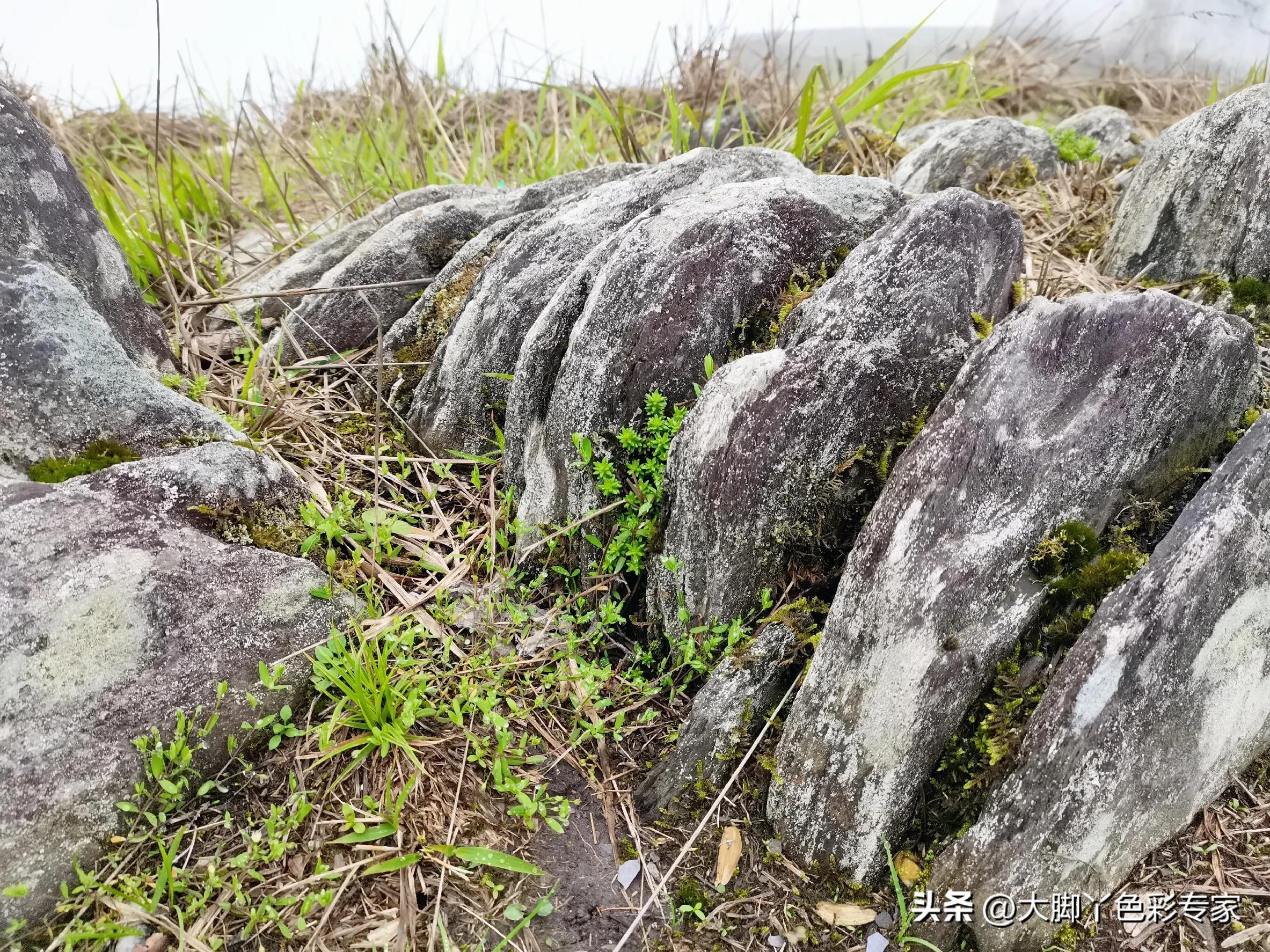 郴州八面山云海,郴州桂东县八面山风景区