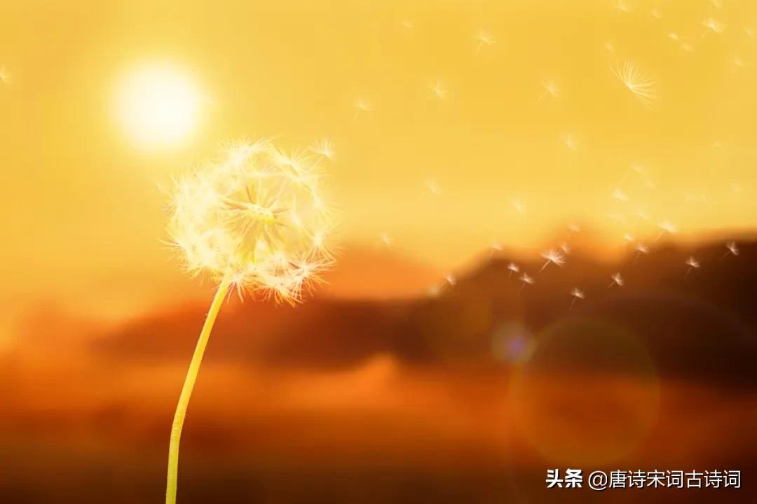 古诗词中托物言志的事物,古诗词中蕴含的文化