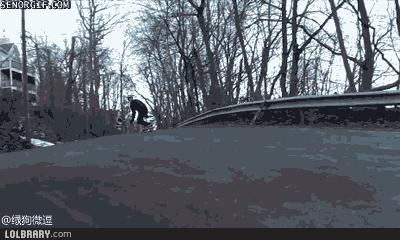 第一个用无人机拍到的鲸鱼,鲸鱼萤火虫