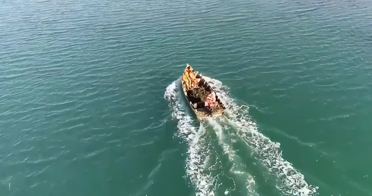 仅有积蓄23块钱，山东小伙大胆借600万，捞出大连海底“小黄金”