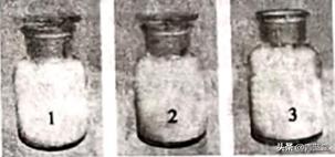 2021年山东省聊城市中考生物真题