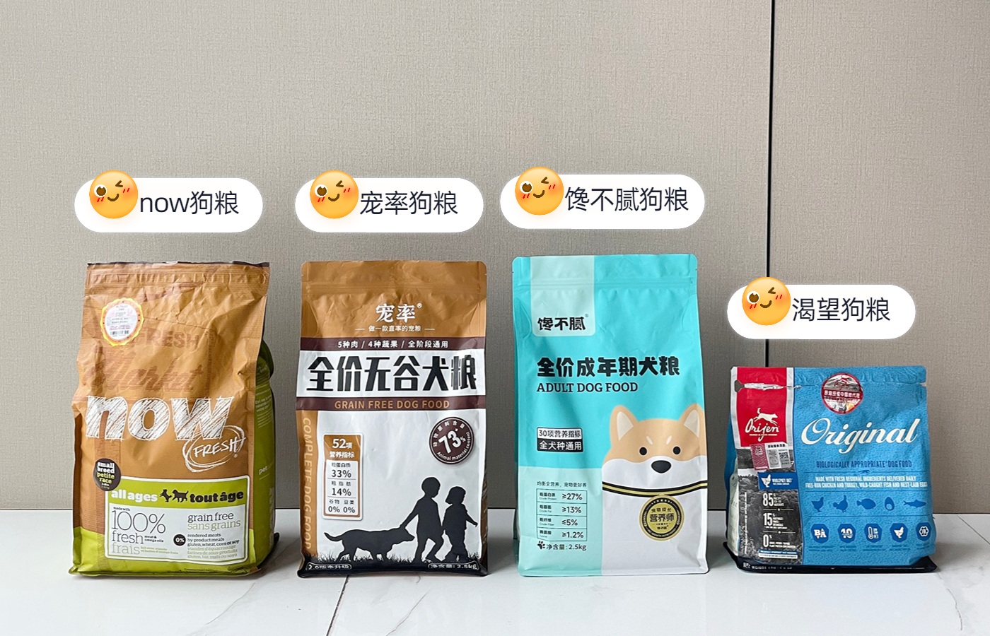 夏日养狗避坑指南,夏天如何养狗