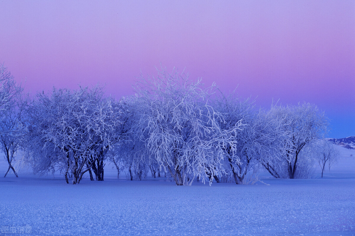 被人算计后最聪明的做法,被人算计了怎么说话