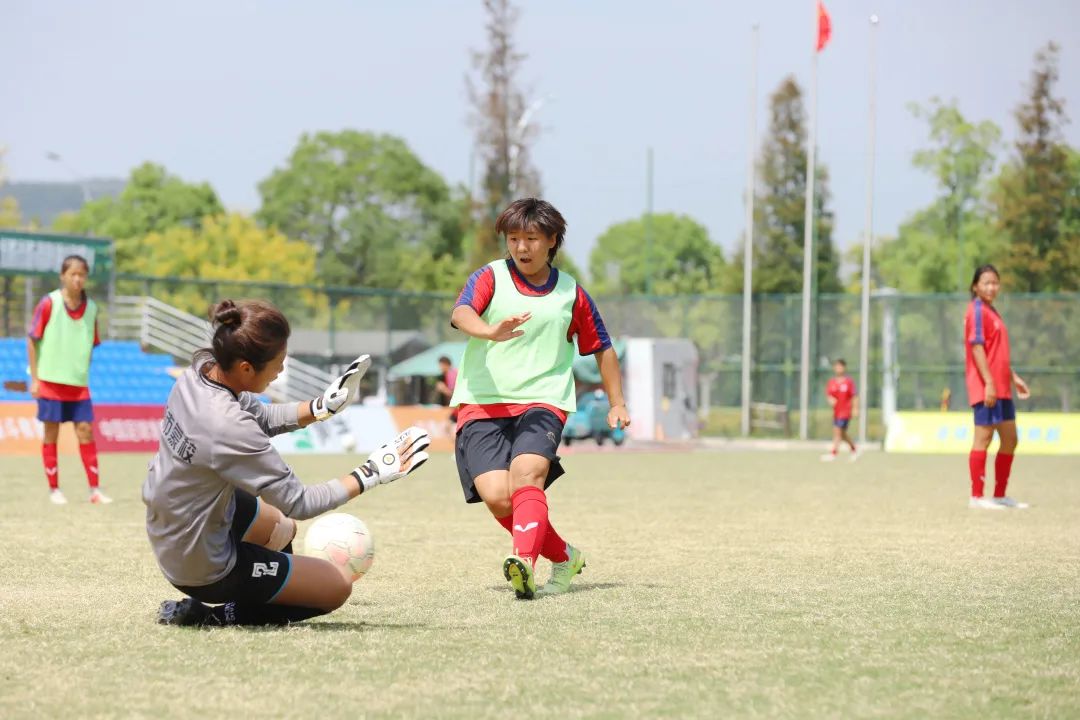 太湖边的足球小玫瑰们正在美丽绽放
