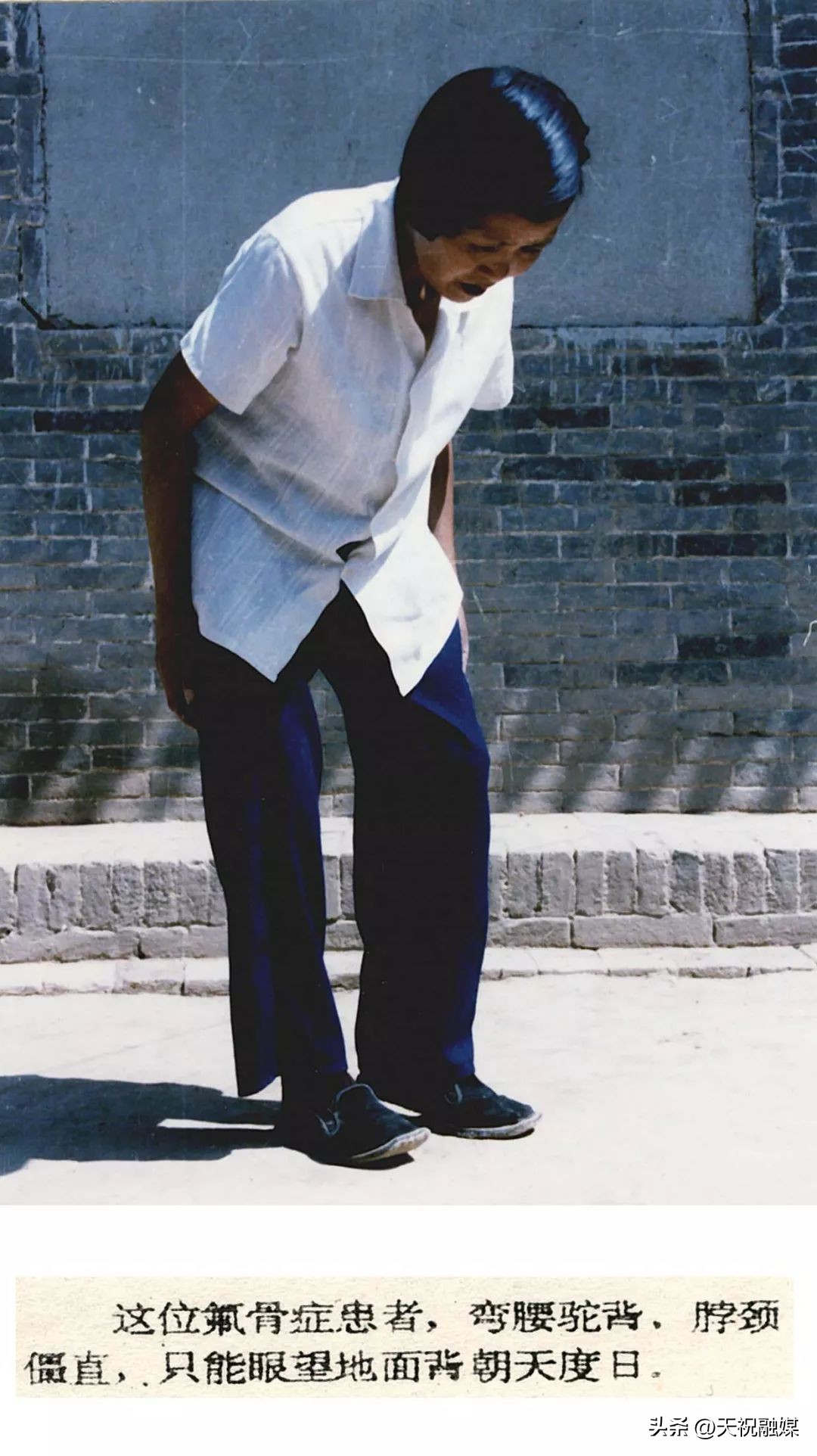 科普碳中和知识,氟元素科普