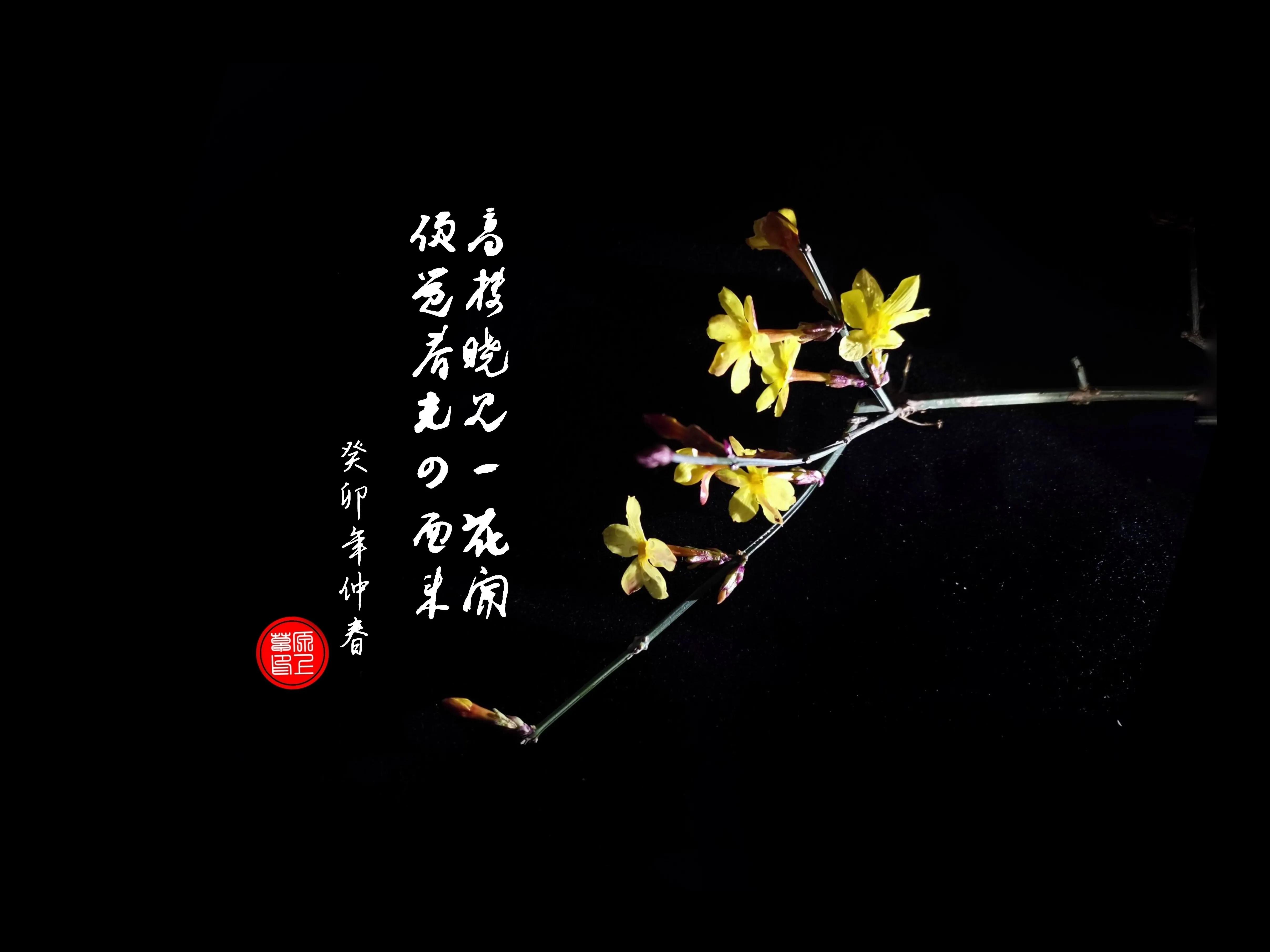 百花酿诗韵芬芳留人间（一）