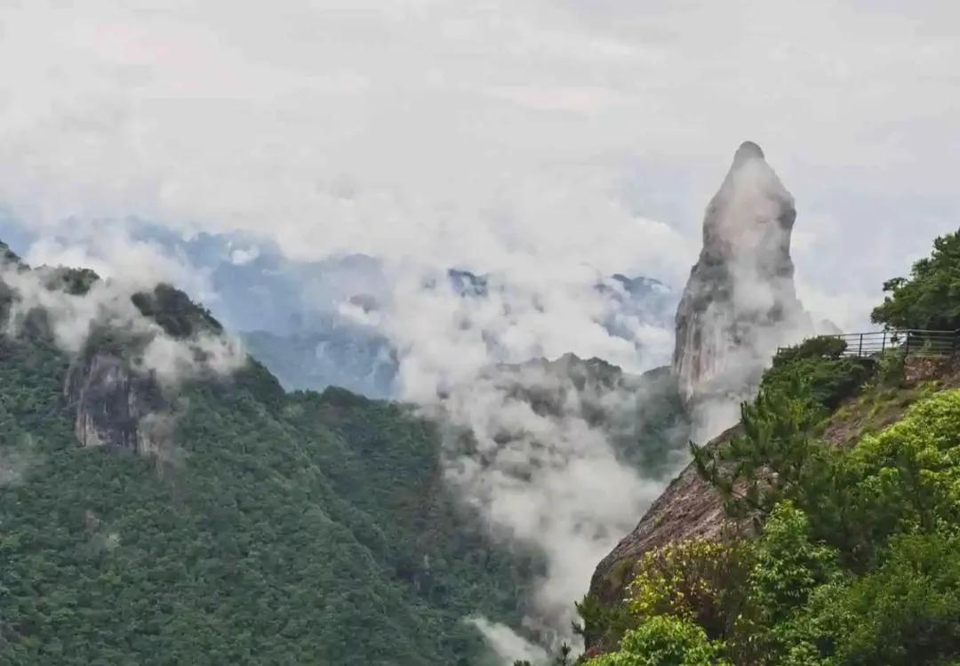不系舟微博《诗路茶道》