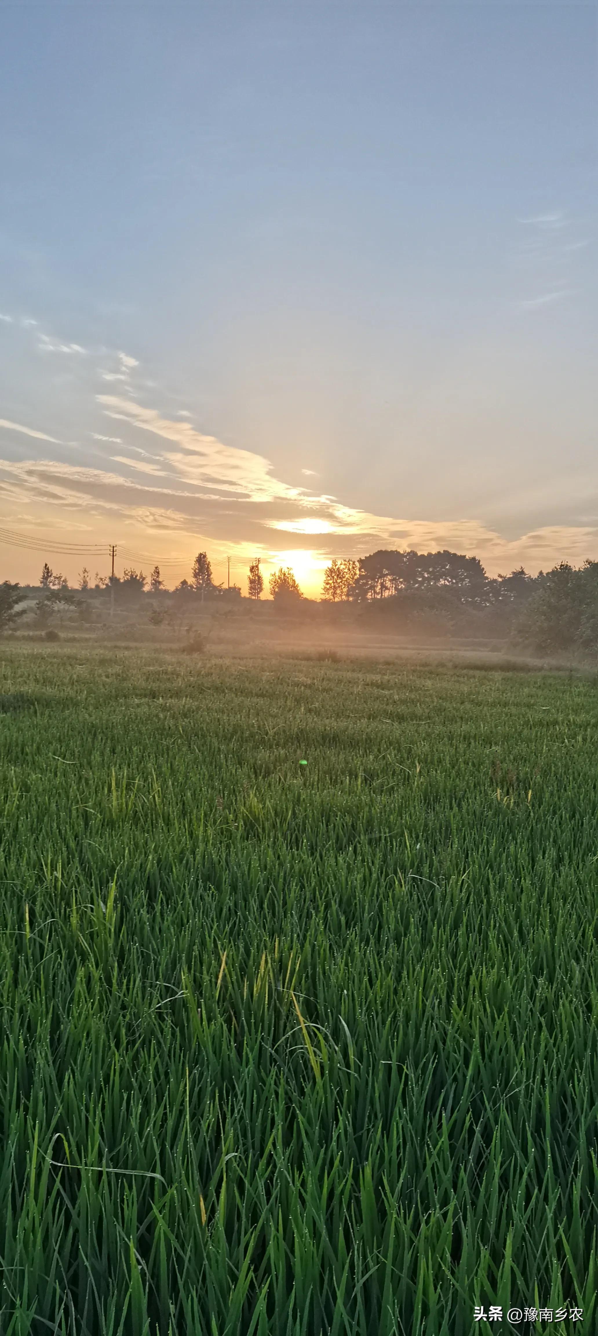 我农村双儿户，给大儿媳买一套90万的婚房，她要彩礼20万还不背账