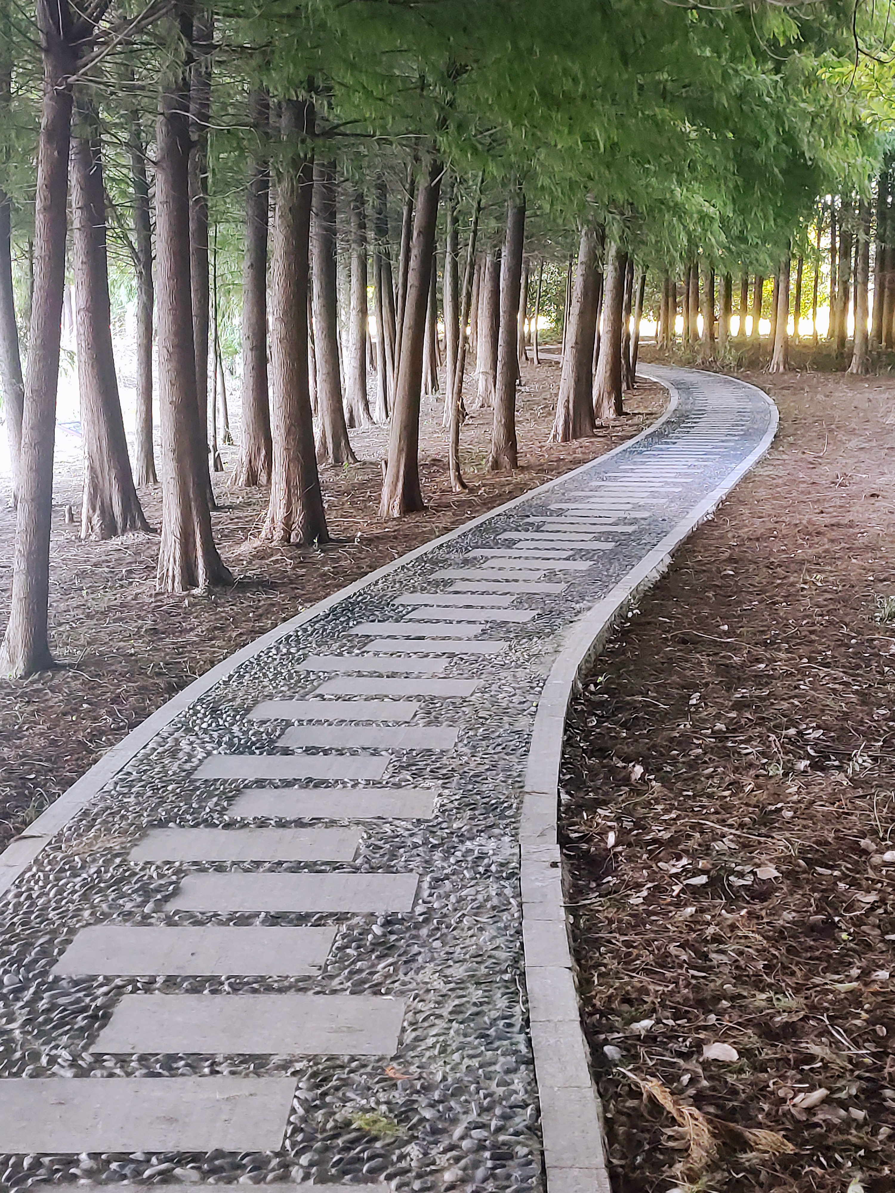 靖江周围有哪些特色旅游景点,不输5a的景区