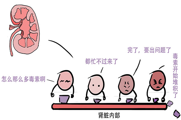 皮蛋是最恶心的食物吗,一次吃了两个皮蛋会引起铅中毒吗