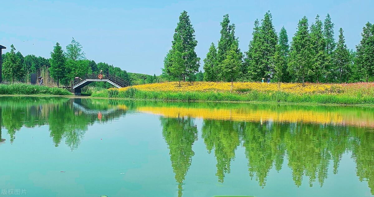 上海踏青2022,上海踏青最佳景点2021