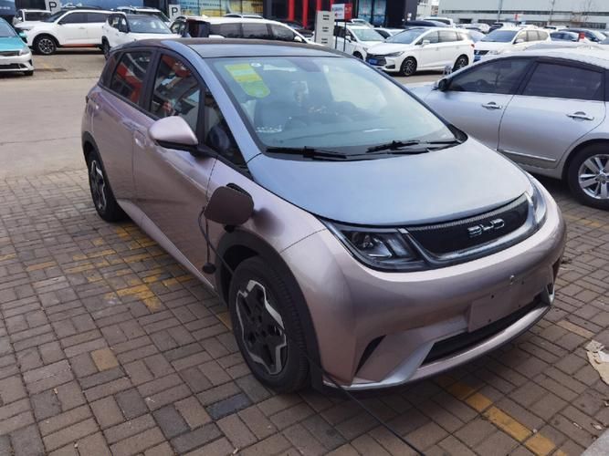 比亚迪海豚时尚版纯电动,比亚迪纯电新车海豚体验