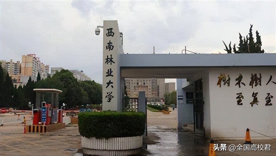 2023年云南省排名前三的大学,2023云南大学排名