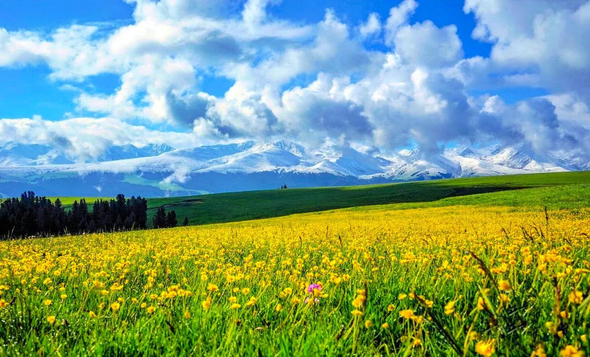 人生难得静心,人生难得清净心