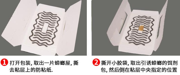 家里蟑螂太多怎么处理蟑螂,夏天蟑螂多教你一个小妙招