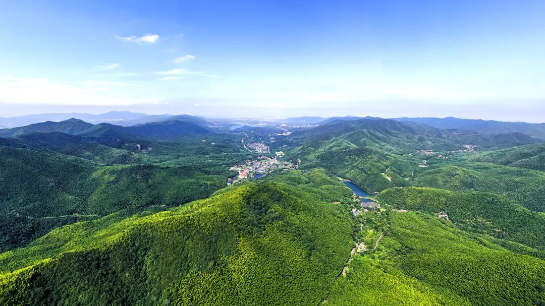 悬崖酒店宜兴,宜兴市悬崖酒店