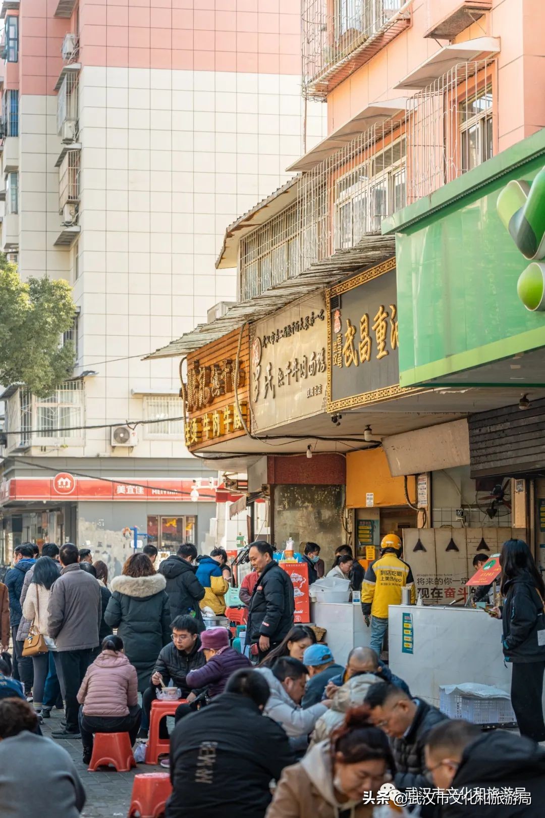 武汉不花钱看樱花地点,来武汉一定要看两坝一峡登黄鹤楼