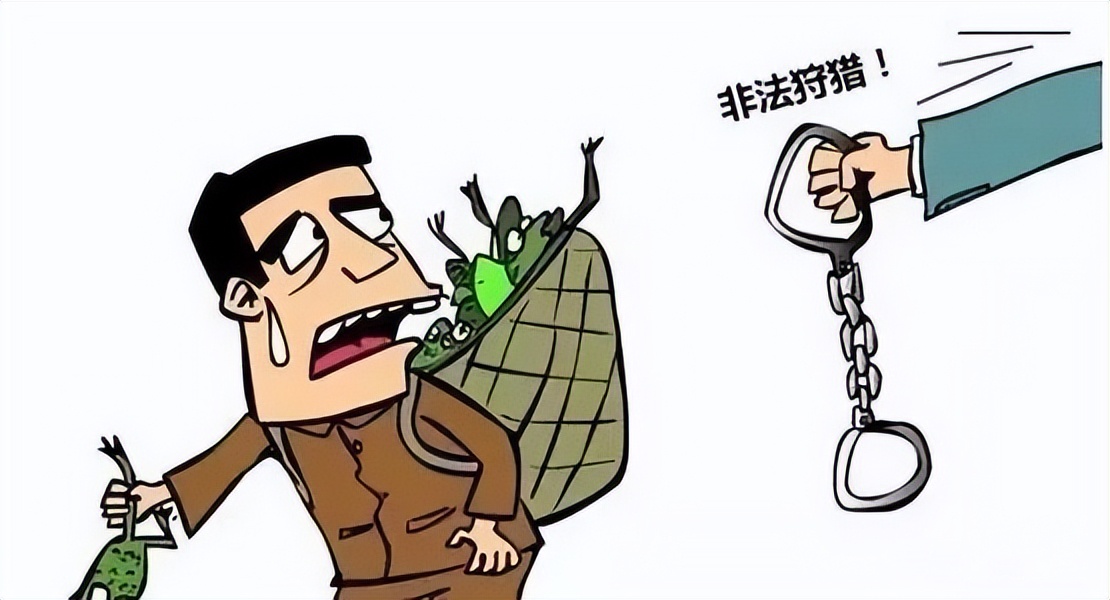 特大涉野生动物犯罪二审宣判,特大涉野生动物犯罪案二审宣判