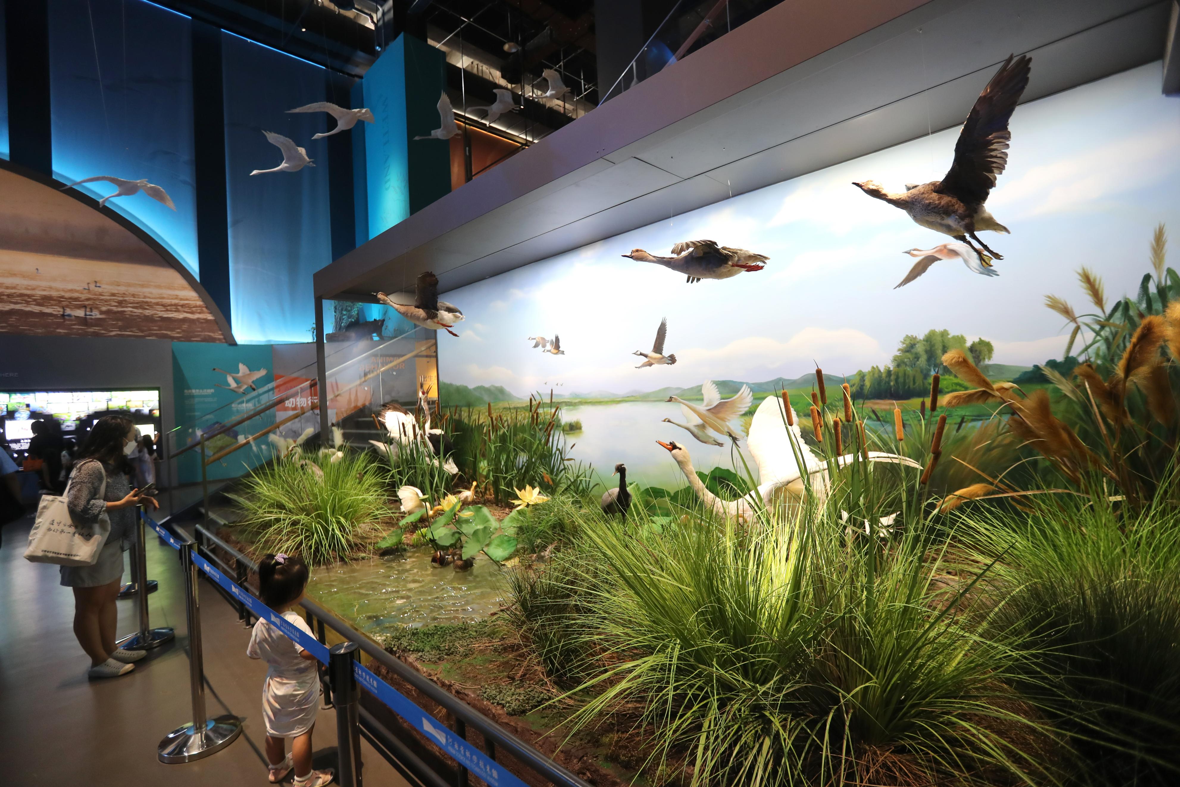 河南科技馆新馆参观攻略,河南科技馆新馆怎么预约