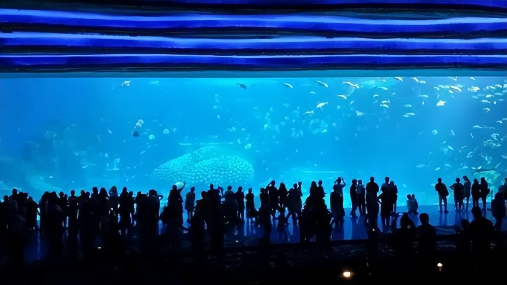 珠海长隆宇宙飞船游玩攻略,珠海长隆游玩攻略最佳路线图