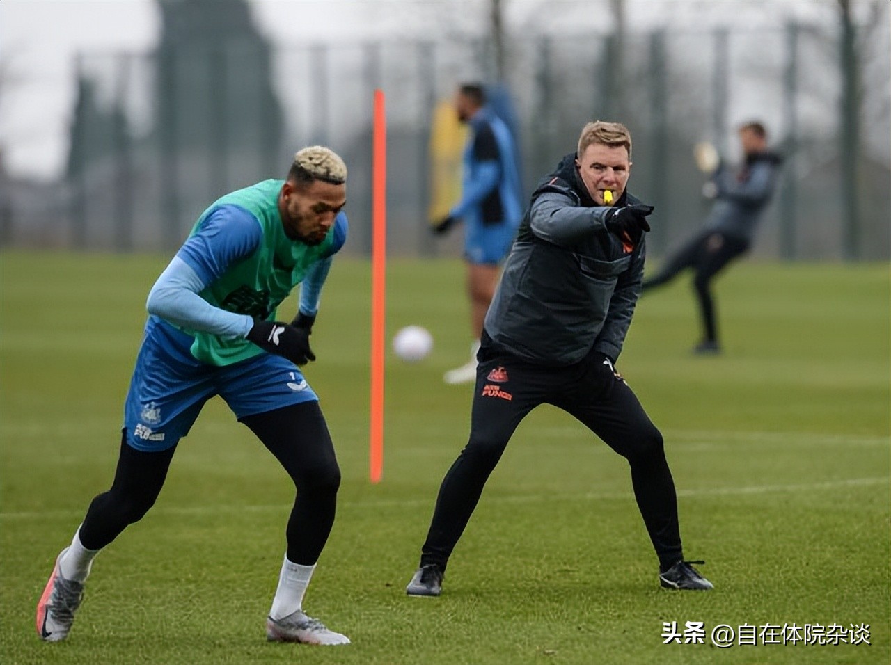 埃迪豪逆转球员,埃迪豪出任纽卡主帅