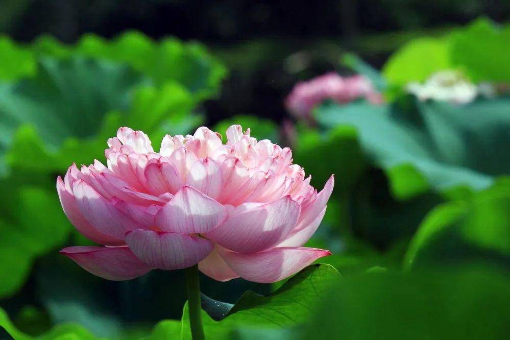 纳瓦尔宝典和穷查理宝典共同点,纳瓦尔穷查理