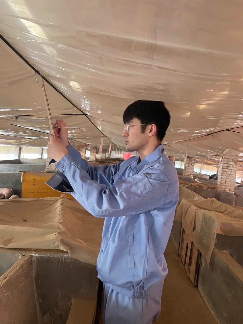 双胞胎集团上班怎么样,双胞胎在一个公司上班利弊