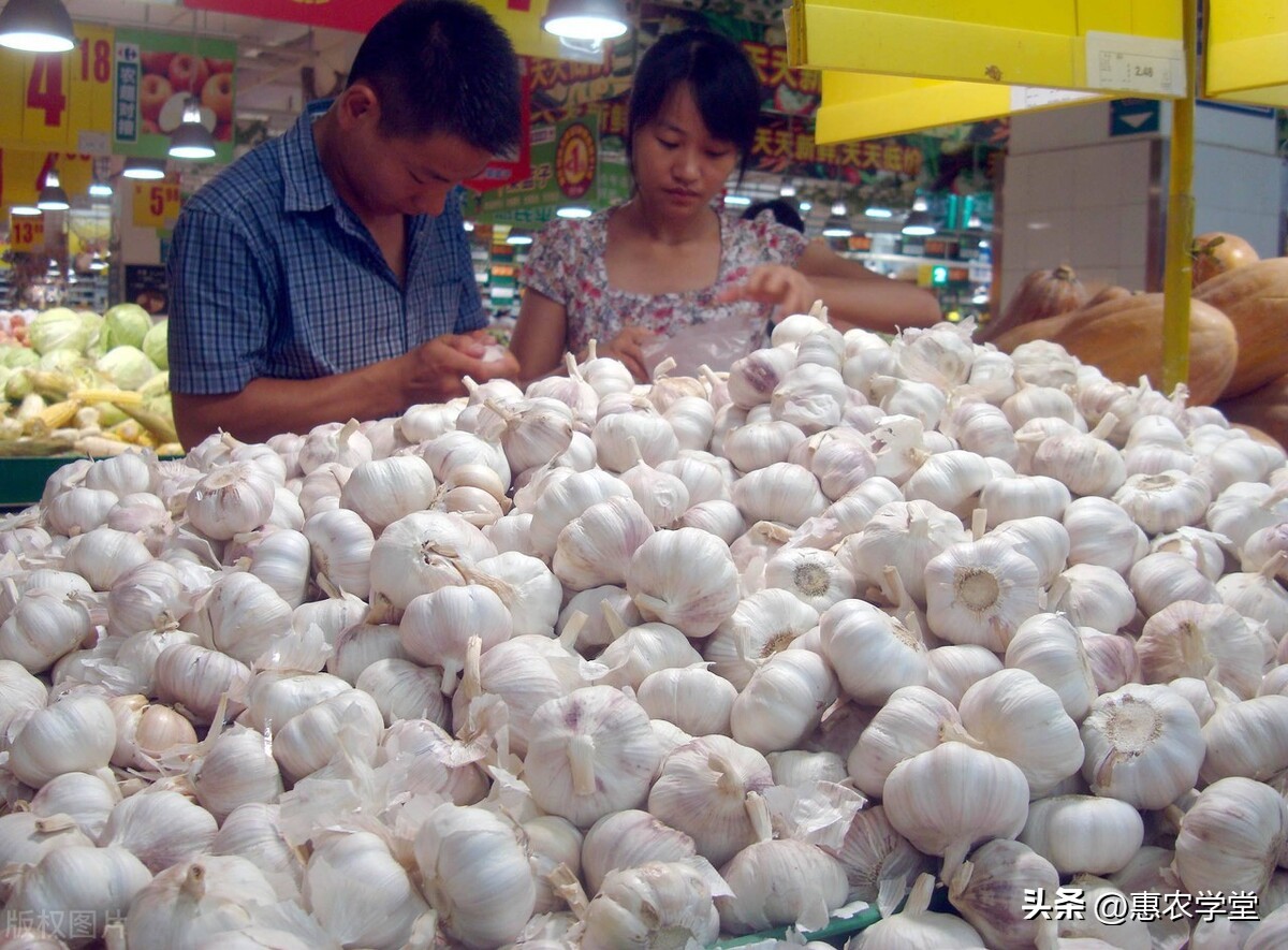 大蒜价格今年的大蒜多少钱一斤,2018年大蒜价格多少钱一斤