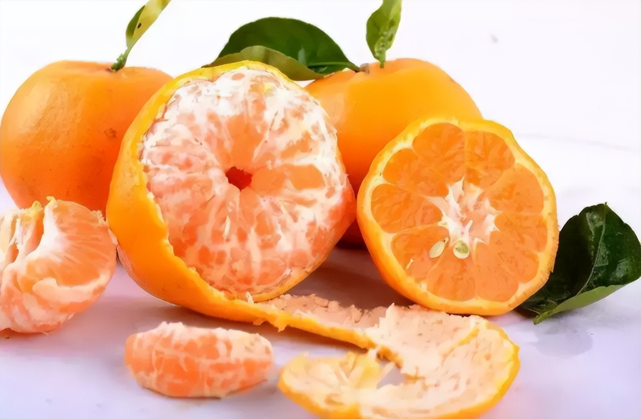 绿萝怎么养才能更旺盛浇什么水,绿萝水养的方法和注意事项