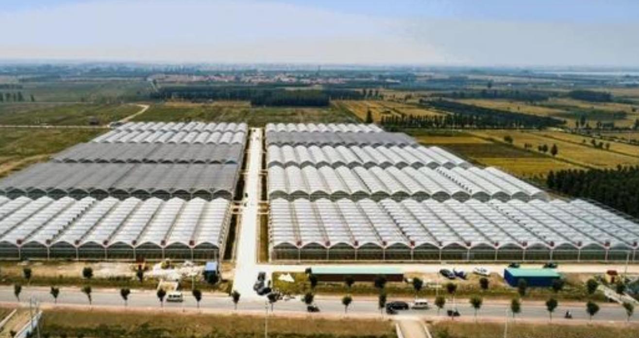 农村人口进城的弊端,农村人口流失问题怎么解决