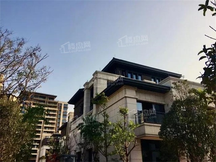 洋浦地产,洋浦地产怎么样