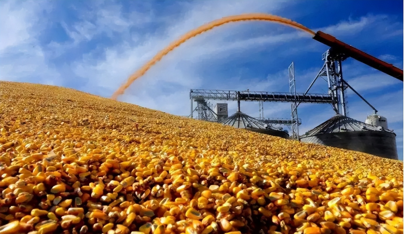 最新白酒骗局套路大全,集市新骗局是真的吗