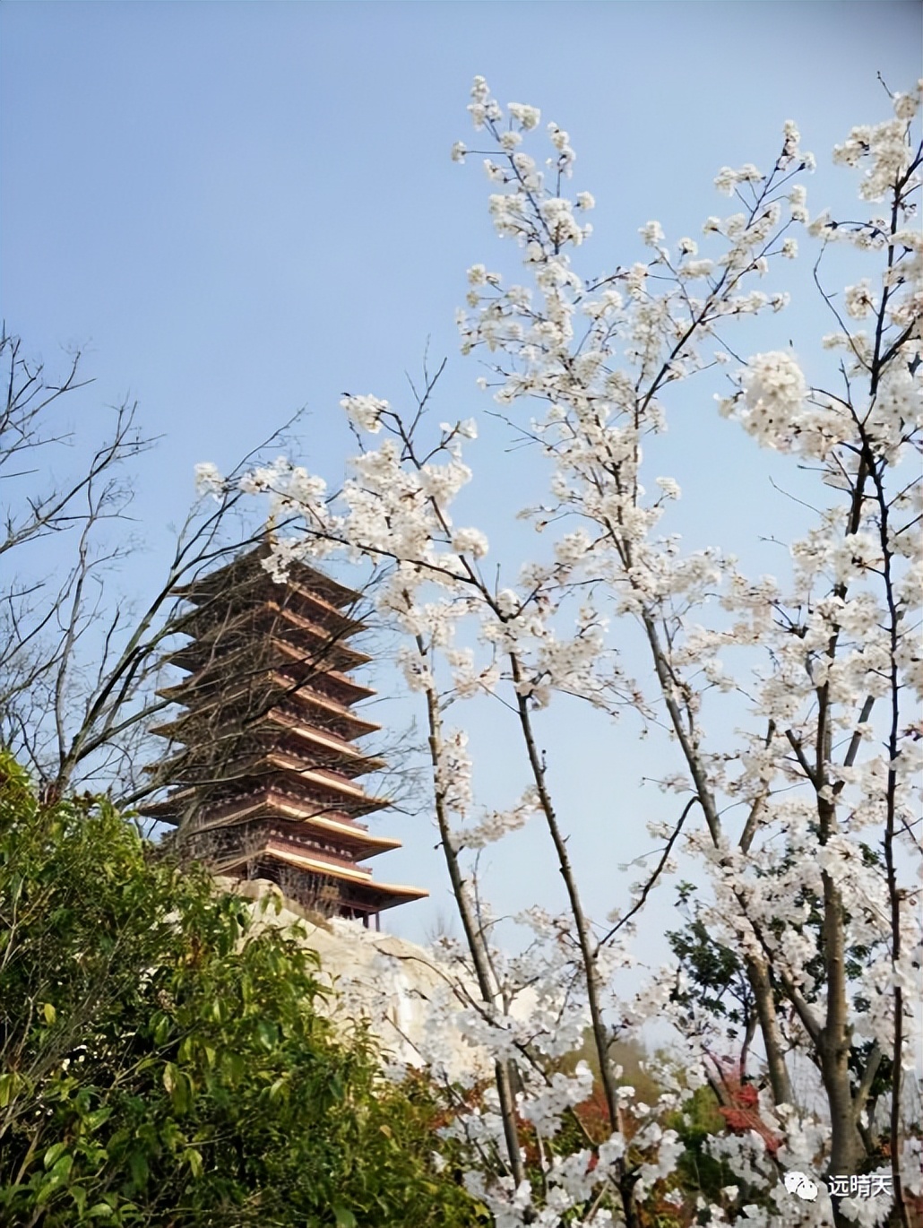 最美江宁四月天,我们只谈春暖花开,诗词歌赋,不聊红尘俗世