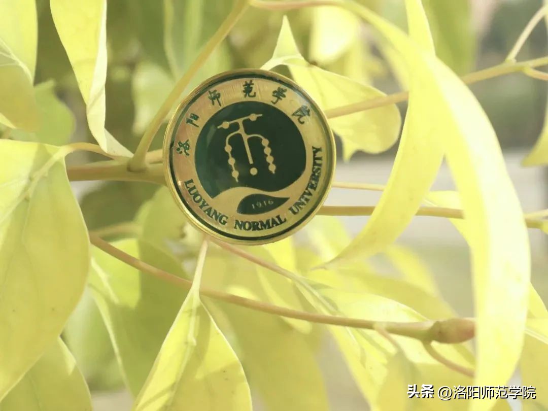 当洛师邂逅43种中国传统色……