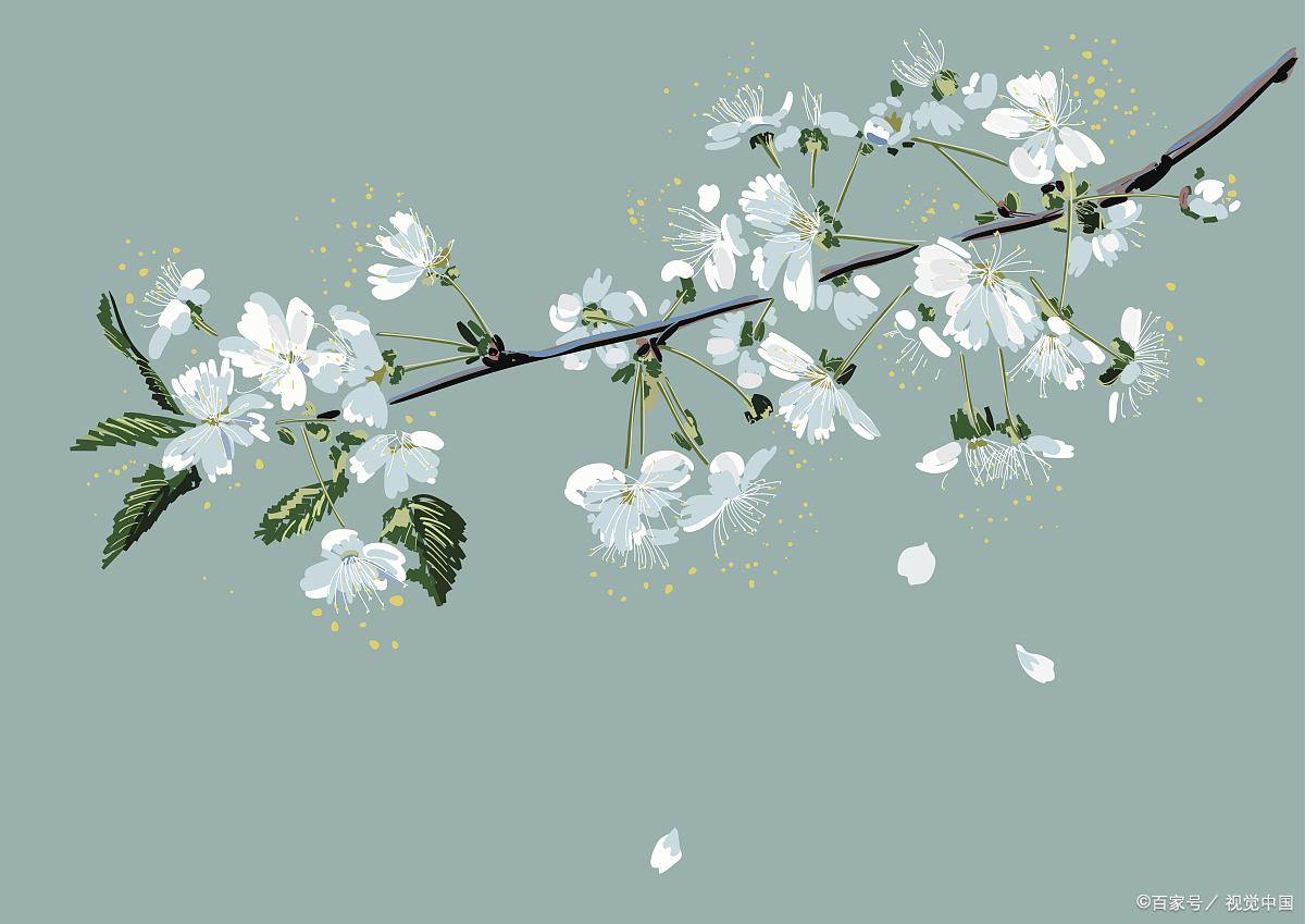 春天赏花,怎么发朋友圈才有格调,64首诗词来助力