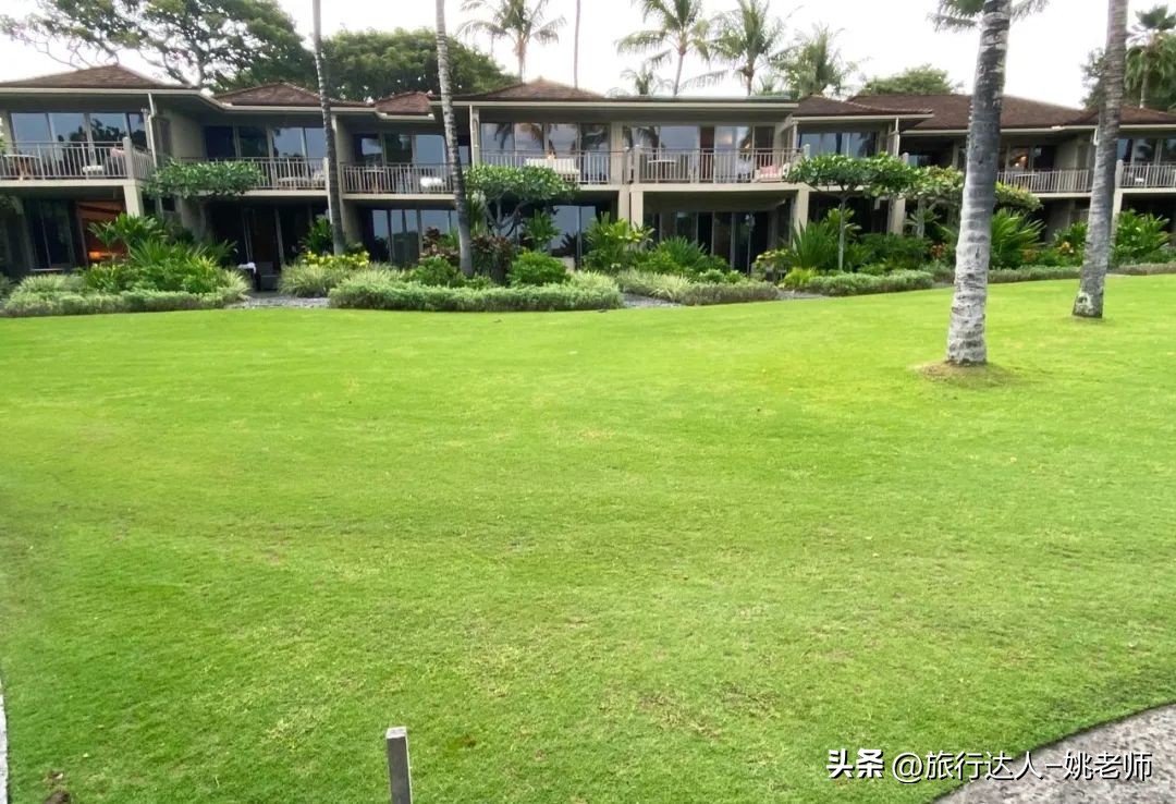 夏威夷的活火山喷发,夏威夷火山喷发大岛还能旅游吗