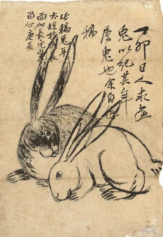 齐白石笔下富贵的牡丹,齐白石写意兔子