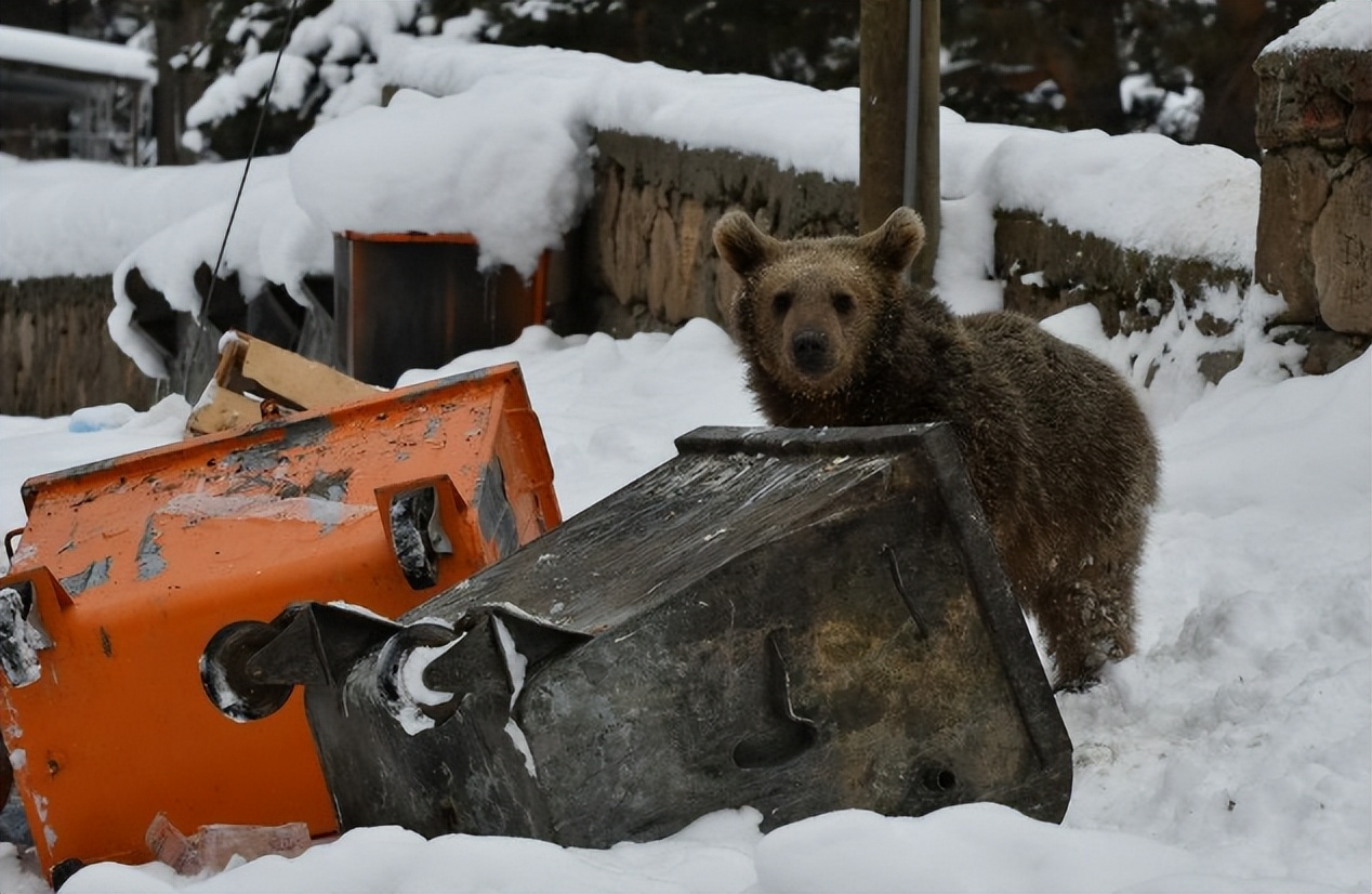 没有早饭可以，没有胶水不行！沉迷于胶水的国家肯尼亚