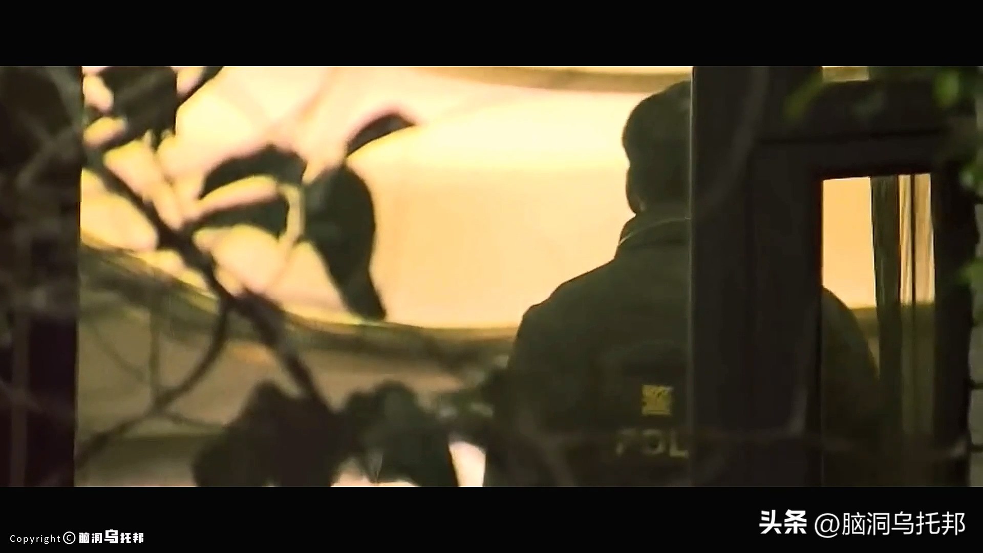 名媛碎尸案最新案情,名媛蔡天凤碎尸案细节视频