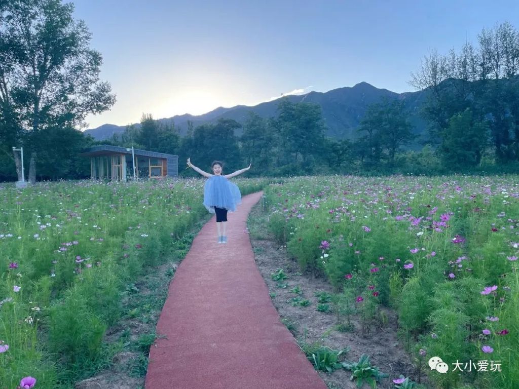 打卡北京景区,北京度假村旅游攻略带孩子