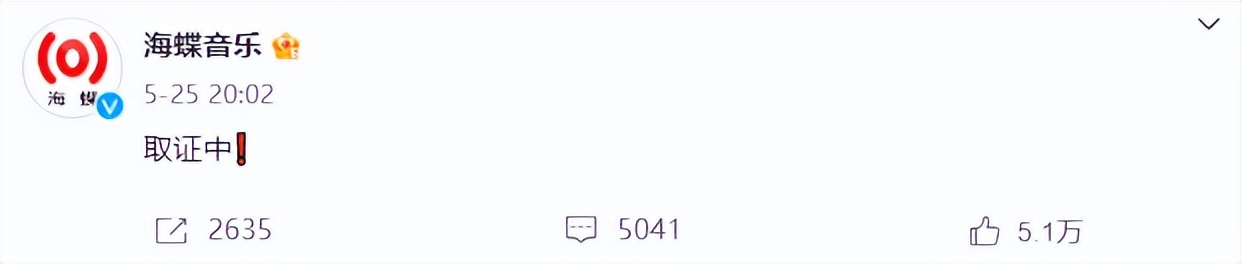 许嵩有文化的歌曲,许嵩风华绝代